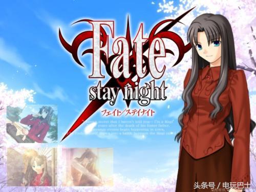 fate stay night 游戏简介（Fate系列都有哪些游戏）--第3张